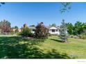 Spacious, well-manicured lawn with mature trees providing shade and privacy at 2125 Rangeview Ln, Longmont, CO 80501