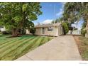 Charming ranch home with mature tree, fresh lawn, long driveway, and backyard shed at 1104 Village Dr, Fort Lupton, CO 80621