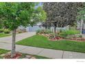 Well-maintained front yard with green grass, a driveway, and beautiful landscaping at 940 Petras St, Erie, CO 80516