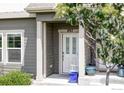 Inviting entryway features a white front door, gray siding, and a cozy porch area at 897 Winding Brook Dr, Berthoud, CO 80513