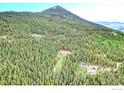 Aerial view of a home nestled among a dense forest with other houses nearby, marked with a red pin at 1176 Raven Ridge Rd, Idaho Springs, CO 80452