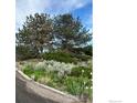 Lush landscaping with mature trees and shrubs creating a serene and private setting at 13748 Downing St, Brighton, CO 80602