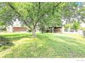 Large, grassy backyard with mature trees providing ample shade at 8030 Ogden St, Denver, CO 80229