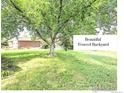 Large backyard with mature trees and a well-maintained lawn and garage in background at 8030 Ogden St, Denver, CO 80229