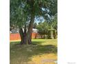 Large, well-maintained backyard featuring lush greenery, a tall tree, and a wooden fence at 106 Keep Cir, Berthoud, CO 80513