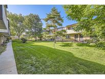 Well-maintained townhome with a beautiful, lush lawn and mature trees on a sunny day at 1847 Quail St # 10, Lakewood, CO 80215