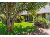 Charming home with a well-manicured lawn, mature tree, and inviting front porch at 2938 Wolfensberger Rd, Sedalia, CO 80135