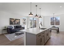 Open living area with grey cabinets, island with sink, sofa, area rug, and dining table at 4650 W 9Th Ave, Denver, CO 80204
