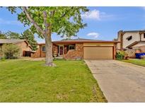 Charming brick ranch home with a lush green lawn and mature tree providing shade and curb appeal at 13624 Omega Cir, Lone Tree, CO 80124