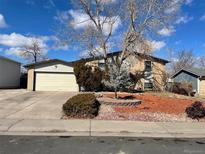 Ranch style home with attached garage and landscaped yard at 3215 S Granby Way, Aurora, CO 80014