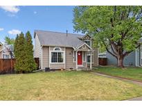 Charming home with well-maintained lawn, mature tree, and red front door at 21125 E 43Rd Ave, Denver, CO 80249