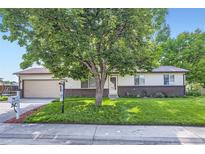 Charming home featuring a well-manicured front yard, beautiful tree, and lovely landscaping at 11617 W 71St Dr, Arvada, CO 80004