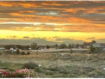 This community has views of mountains and sunsets at 6805 Zebra Grass Ln, Parker, CO 80138