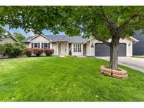 Charming single-story home featuring a lush green lawn, mature tree, and attached two car garage at 142 S Fillmore Ave, Louisville, CO 80027