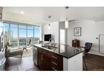 Modern kitchen with stainless steel appliances and a view of the city skyline at 891 14Th St # 3415, Denver, CO 80202
