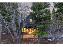 Charming exterior view showcasing a cozy, single-Gathering home embraced by beautiful trees at 236 Harris Dr, Idaho Springs, CO 80452