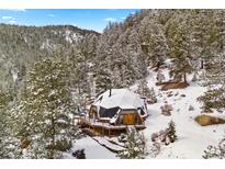 Snow covered dome home exterior featuring a wooden deck and surrounded by lush trees at 11186 Circle Dr, Golden, CO 80403