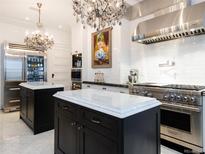 Gourmet kitchen with high-end appliances and large island at 727 N Washington St, Denver, CO 80203