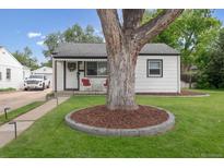 Charming single-story home with a well-maintained lawn and a beautiful tree in the front yard at 3218 S Lafayette St, Englewood, CO 80113