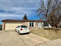 Charming single-story home with a brick and white exterior, complemented by a well-maintained front yard and attached garage at 10975 Birch Dr, Thornton, CO 80233