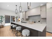 Modern kitchen with island, stainless steel appliances, and white cabinetry at 535 Josephine St, Denver, CO 80206