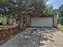 Home with a large tree in the front yard with an attached two-car garage and a concrete driveway at 16032 E Floyd Ave, Aurora, CO 80013