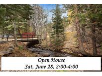 Scenic creek view with wooden bridge, perfect for a tranquil escape into nature at 2971 Fall River Rd, Idaho Springs, CO 80452