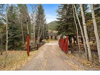 Secluded home entrance with a red metal gate, wooden bridge, and surrounded by lush trees at 2971 Fall River Rd, Idaho Springs, CO 80452