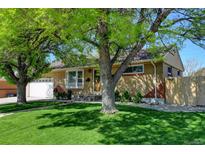 Charming brick home featuring a well-manicured lawn and mature trees providing ample shade at 10769 Carrol Ln, Northglenn, CO 80233