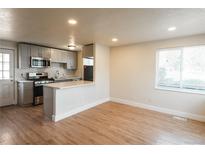 Bright, modern kitchen featuring stainless appliances, gray cabinets, and updated countertops and backsplash at 1564 Verbena St, Denver, CO 80220