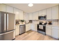 Modern kitchen features stainless steel appliances and light cabinets at 7925 W Layton Ave # 522, Littleton, CO 80123