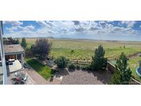 Expansive back yard with mature landscaping, gravel, lush green lawn, fence, and mountain view at 11023 Pastel Pt, Parker, CO 80134