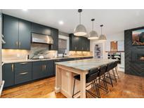 Modern kitchen featuring sleek countertops, custom cabinets, and stainless steel appliances at 890 S Vine St, Denver, CO 80209