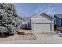 Ranch style home with attached garage and landscaping at 3711 Bucknell Cir, Highlands Ranch, CO 80129