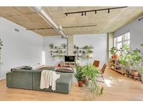 Spacious living room with hardwood floors, exposed ceiling and large windows, with many plants and modern furniture at 290 W 12Th Ave # 205, Denver, CO 80204