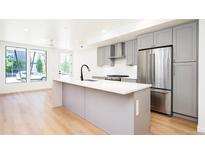 Modern kitchen with gray cabinets, stainless steel appliances, and quartz countertop island at 263 S Jackson St, Denver, CO 80209
