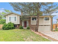 Charming split-level home with a well-manicured lawn, mature tree, and brick accents at 2743 S Reading Ct, Denver, CO 80231