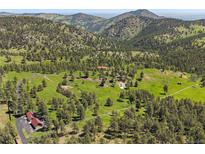 Expansive aerial view of lush acreage, nestled among green trees and rolling hills at 3800 Lakota Rd, Indian Hills, CO 80454