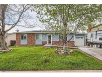 Charming single-Gathering home with a well-maintained lawn and tree in the front yard at 4533 S Devinney St, Morrison, CO 80465