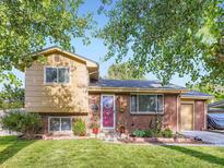 Charming two-story home featuring a brick facade, manicured lawn, mature trees, and a welcoming red front door at 6664 Gray St, Arvada, CO 80003
