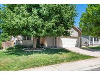 Charming home featuring a well-manicured lawn and a large tree, providing shade and curb appeal at 5332 S Lisbon Way, Centennial, CO 80015
