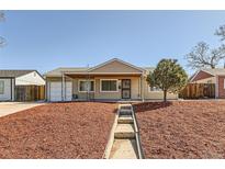 Charming single-story home featuring a well-manicured lawn and inviting entrance, creating a welcoming curb appeal at 3016 S Grape Way, Denver, CO 80222