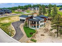 Stunning two-story home with a modern design, sleek black roof, and manicured front lawn at 5820 Powell Rd, Parker, CO 80134
