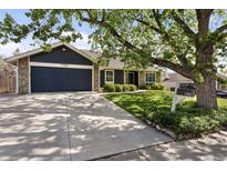 Charming single Gathering home with a well-manicured lawn and lovely curb appeal at 17162 E Atlantic Pl, Aurora, CO 80013
