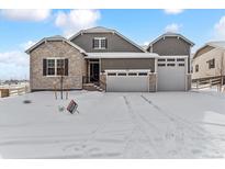 Two-story house with gray siding, stone accents, and a three-car garage at 4125 River Oaks St, Castle Rock, CO 80104