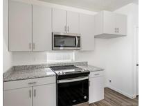 Modern kitchen features stainless steel appliances, granite countertops, and white cabinetry at 22123 E 38Th Pl, Aurora, CO 80019