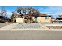 Ranch style home with mature tree and landscaped yard at 2543 Westchester Dr, Denver, CO 80221