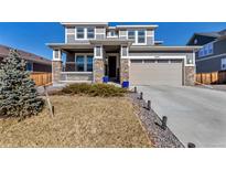 Beautiful two-story home with a well-manicured lawn and a two-car garage in a quiet suburban neighborhood at 9592 Keystone Trl, Parker, CO 80134