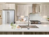 Bright kitchen featuring stainless steel appliances, and gray wood-style cabinets with white countertops at 1822 Grove St # 110, Denver, CO 80204