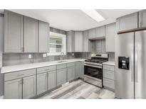 Well-lit kitchen with gray cabinets, stainless steel appliances, gray backsplash and hardwood floors at 1248 Meadow St, Longmont, CO 80501